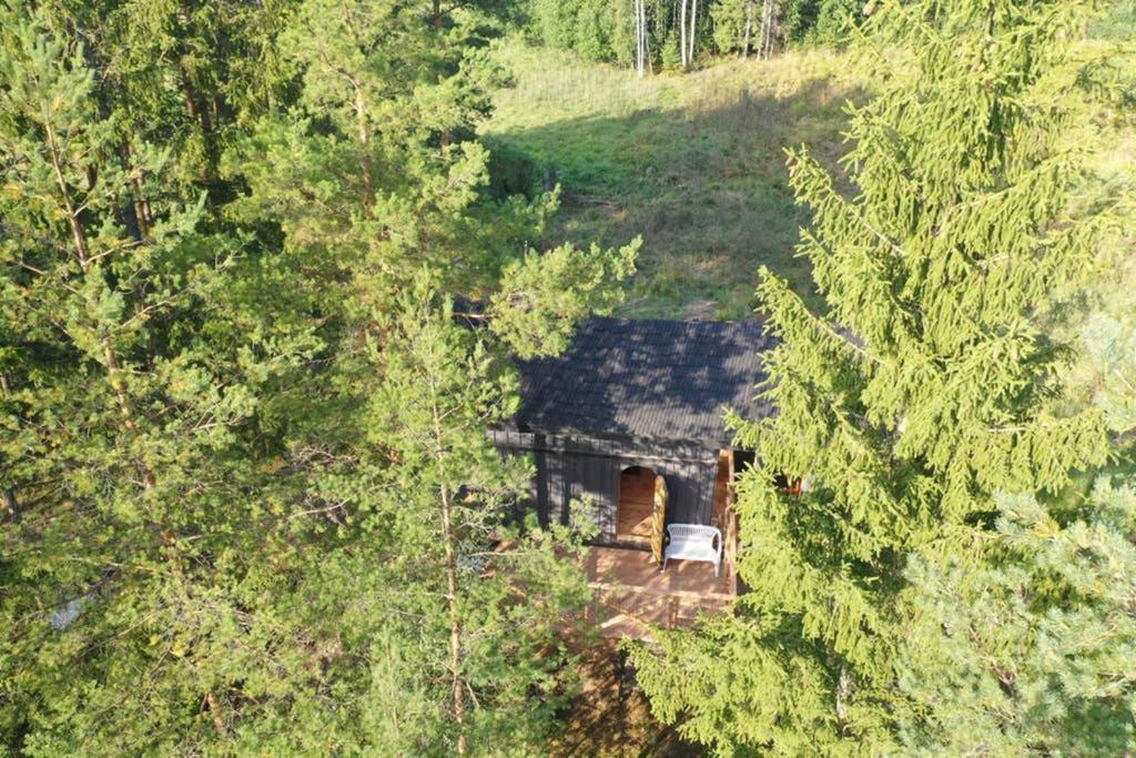 Viking House In The Tree! Jacuzzi, Sauna,Apkure! Lici  Exterior photo