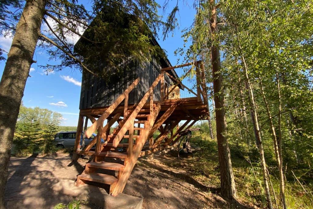 Viking House In The Tree! Jacuzzi, Sauna,Apkure! Lici  Exterior photo